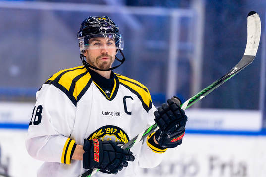 Brynäs Anton Rödin