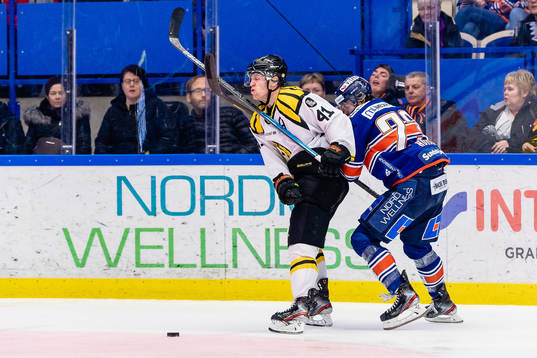 Brynäs Greg Scott