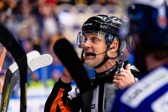 Domare Mikael Nord