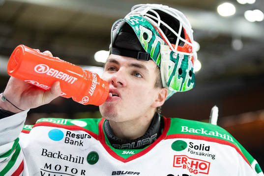 Rögles målvakt Roman Will