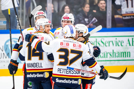 Djurgårdens Tom Wandell jublar