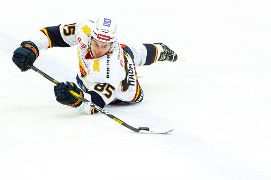 Bläddra bland fler bilder av Ishockey, SHL, Oskarshamn - Djurgården