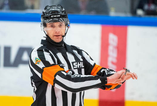 Domare Mikael Andersson
