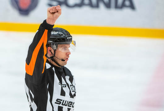 Domare Johan Magnusson