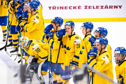 Nikola Pasic and Hugo Gustafsson of Sweden look dejected