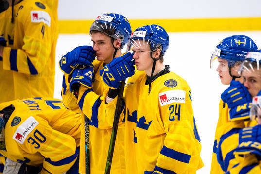 Nikola Pasic and Hugo Gustafsson of Sweden look dejected
