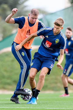 Darijan Bojanic and Anton Salétros
