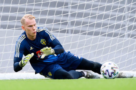 Goalkeeper Pontus Dahlberg