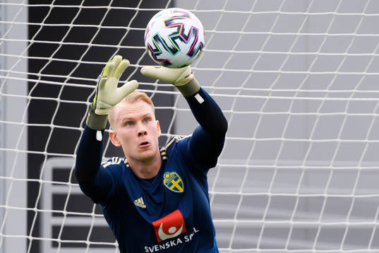 Goalkeeper Pontus Dahlberg