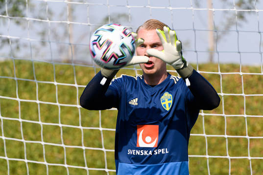 Goalkeeper Pontus Dahlberg