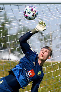 Goalkeeper Pontus Dahlberg