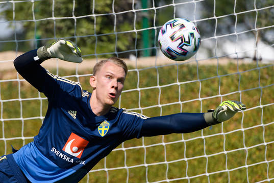 Goalkeeper Pontus Dahlberg
