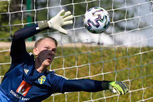 Goalkeeper Pontus Dahlberg