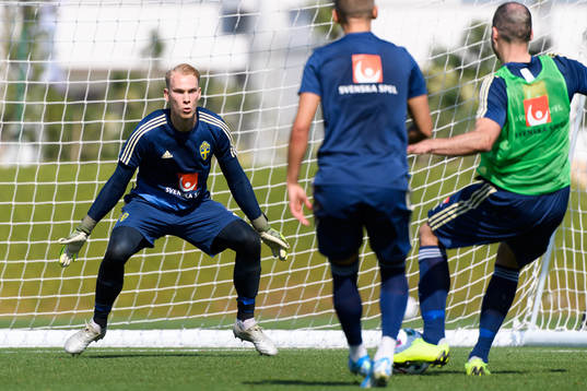 Goalkeeper Pontus Dahlberg