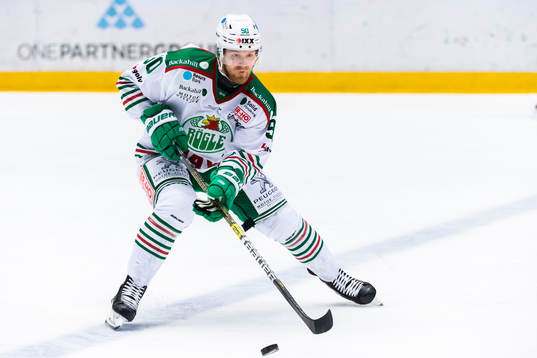 Rögles Ted Brithén