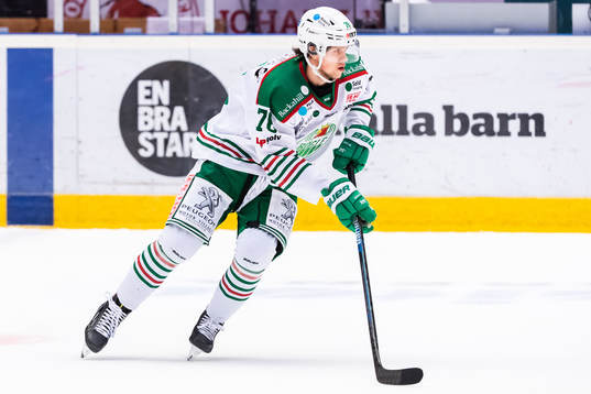 Rögles Dominik Bokk