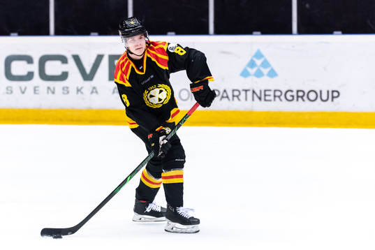 Brynäs Victor Söderström