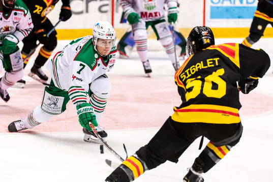 Rögles Erlend Lesund