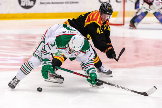 Rögles Daniel Bertov och Brynäs Greg Scott
