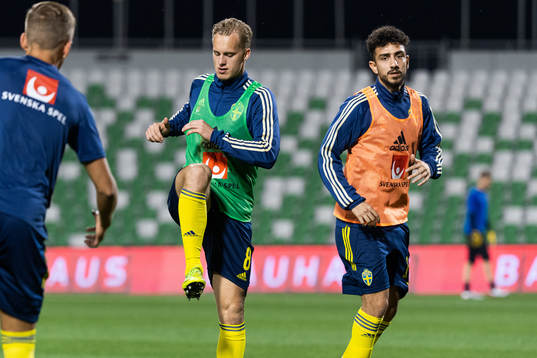 Gustav Berggren and Daleho Irandust of Sweden