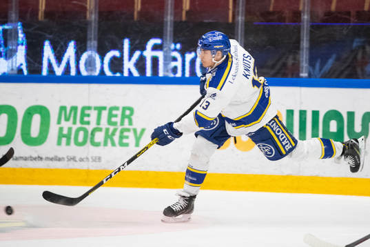 Leksands Jon Knuts