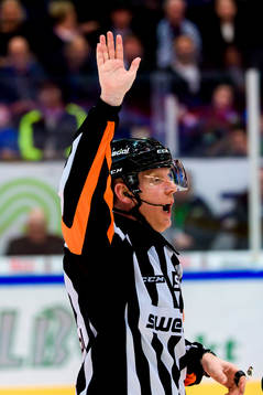 Domare Mikael Holm