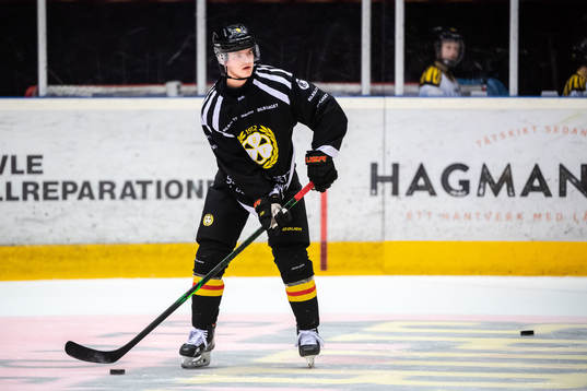 Brynäs Victor Söderström