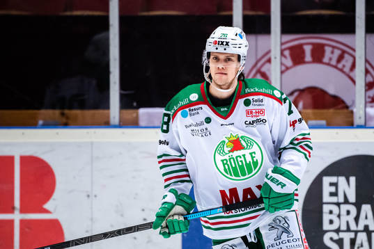 Rögles Dominik Bokk