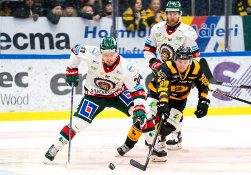 Skellefteås Rickard Hugg