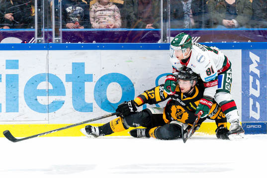Skellefteås Adam Pettersson