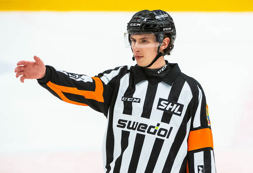 Domare Ulf Rönnmark