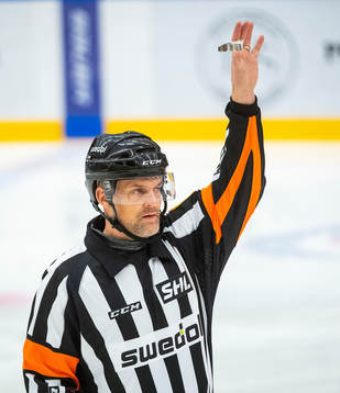 Domare Mikael Nord