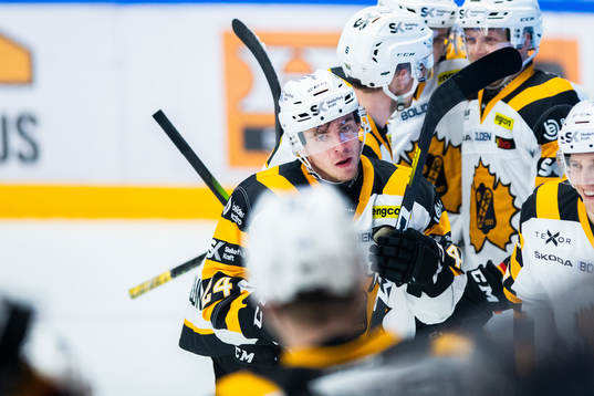 Spelare ur Skellefteå jublar