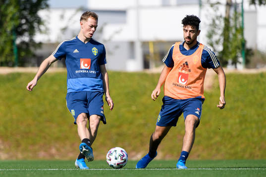 Adam Andersson and Daleho Irandust