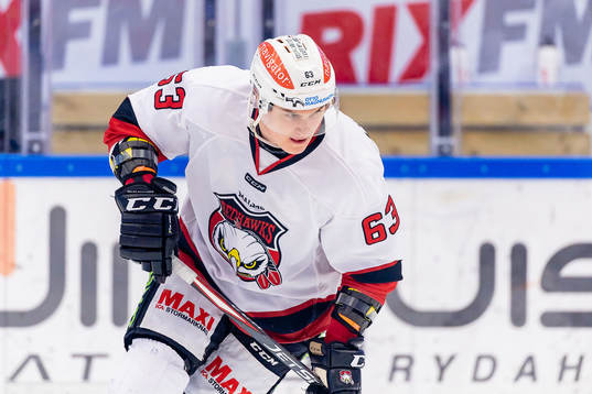 Malmö Redhawks Fredrik Händemark