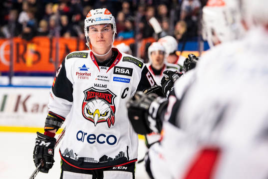 Malmö Redhawks Fredrik Händemark jublar