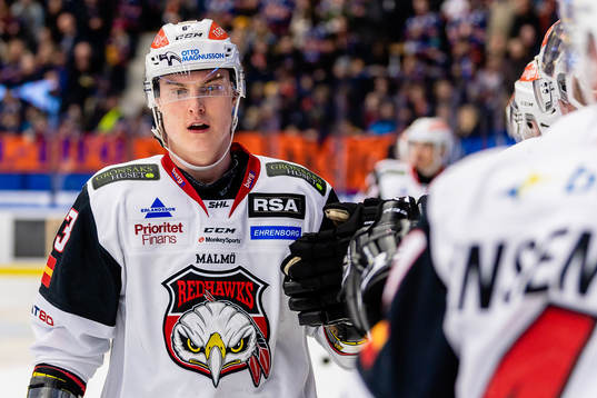 Malmö Redhawks Fredrik Händemark jublar