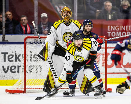 <bb33, Linköpings Joe Whitney och <Brynäs Eric Norin
