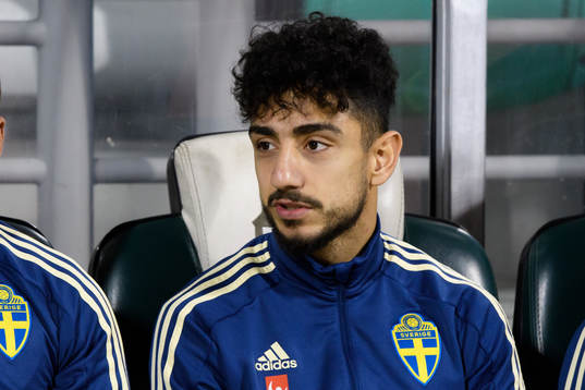 Daleho Irandust of Sweden
