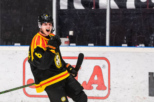 Brynäs Victor Söderström jublar