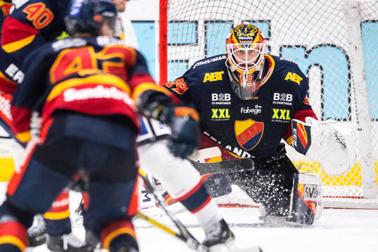 Djurgårdens målvakt Niklas Svedberg