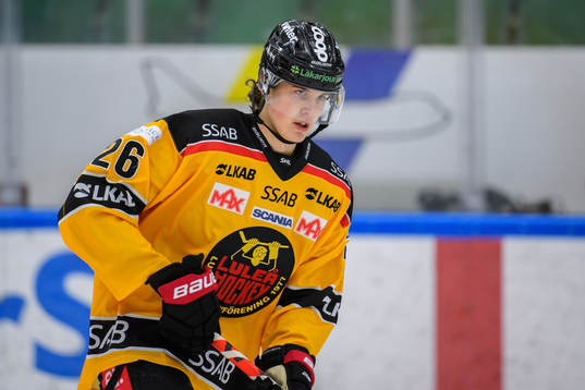 Luleås Radek Muzik