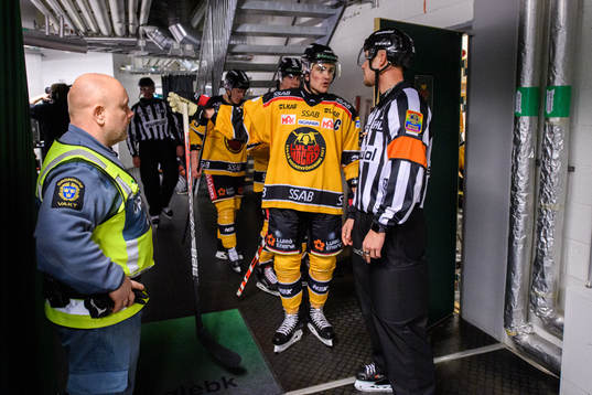 Luleås Karl Fabricius i samtal med domaren i periodpaus