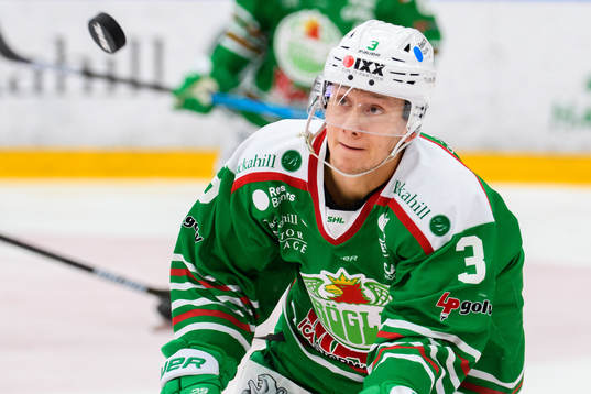 Rögles Daniel Bertov