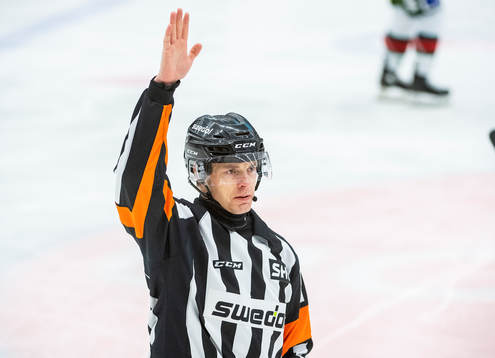 Domare Mikael Andersson