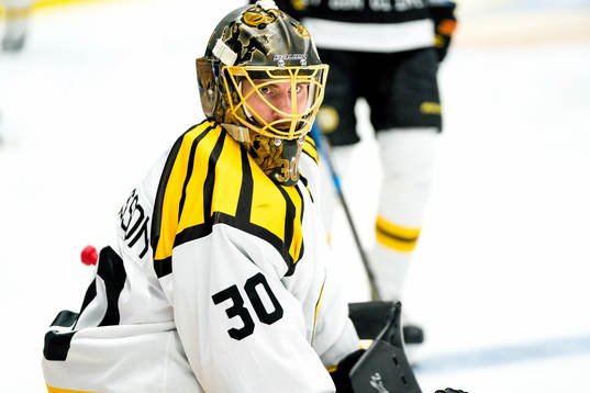 Brynäs målvakt Joacim Eriksson