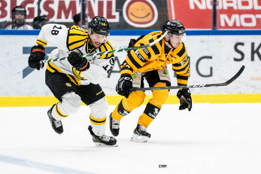Bläddra bland fler bilder av Ishockey, SHL, Skellefteå - Brynäs