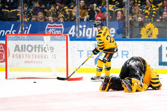 Skellefteås Andreas Wingerli och målvakt Mantas Armalis