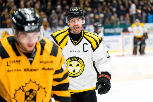 Brynäs Anton Rödin