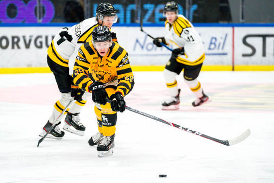 Skellefteås Albin Sundsvik